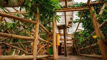 Basic Shared Dormitory, Multiple Beds, City View (Árboles) | Free WiFi, bed sheets