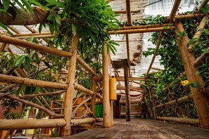 基础宿舍, 多张床, 城市景观 (Árboles) | 免费 WiFi、床单