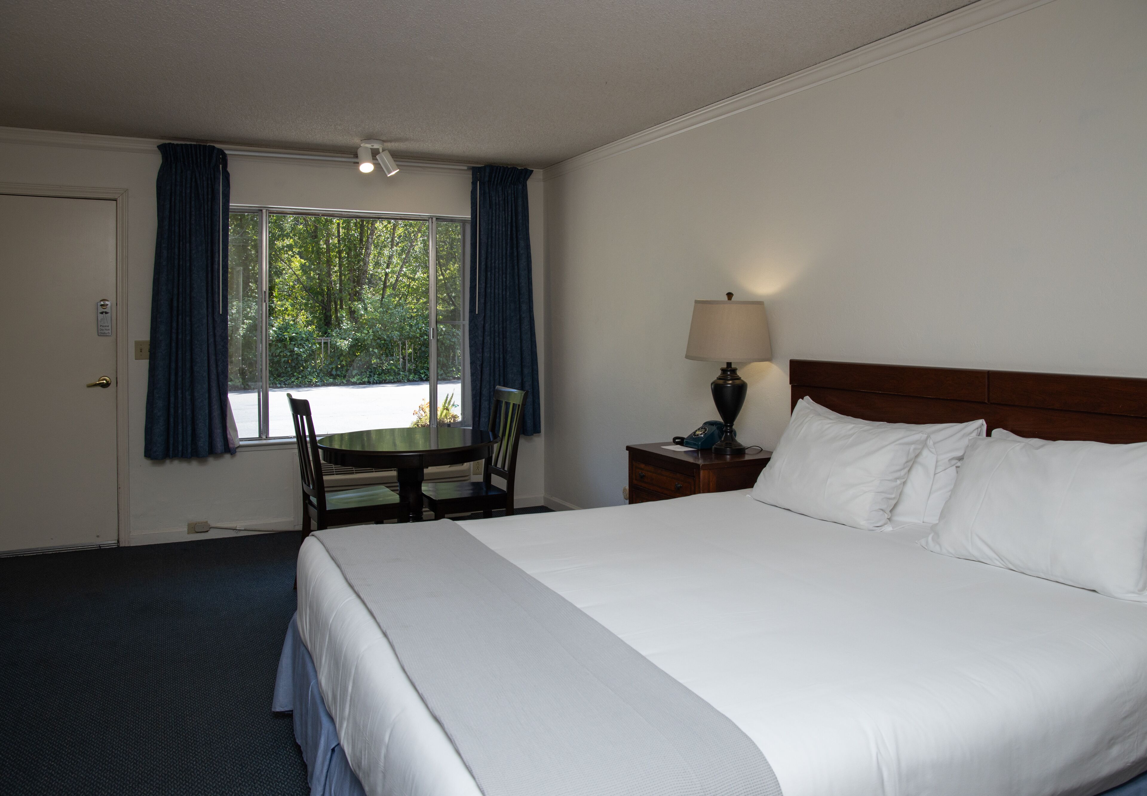 A hotel room with a large bed, a desk with a chair, a lamp, and a view of greenery through the window.