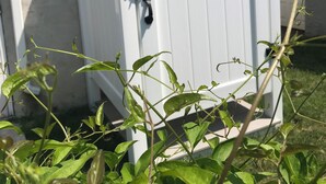 A white outdoor utility shed with a door and a handle, located in a grassy area with plants in the foreground.