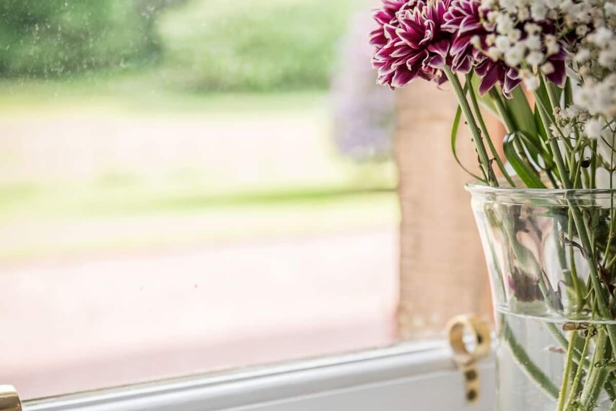 A clear glass vase with flowers on a windowsill.
