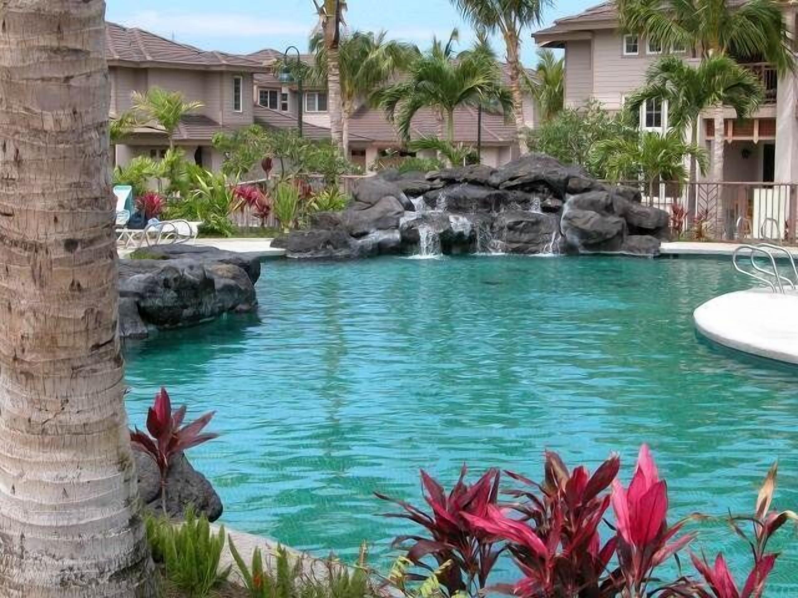 Colony Villa | Paradise among the Palm Trees