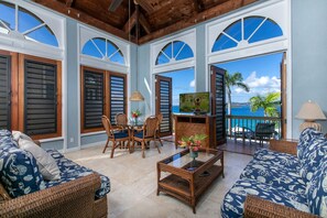 Televisión y libros 