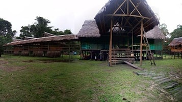 A traditional thatched-roof structure with a wooden framework, surrounded by a grassy area and trees.