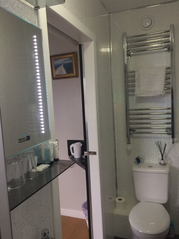 A bathroom with a glass shower enclosure, a white toilet, a towel rack, and a mirror with LED lights.
