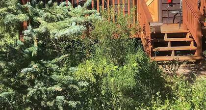 McKinley Creekside Cabins & Cafe'-The Carlo Guest Cabin
