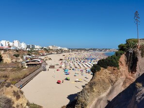 A beach with rows of umbrellas and beach chairs, a promenade, and buildings in the background. - Tropical Apartment with Terrace Praia da Rocha (Portimão)