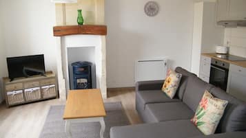 Smart TV, fireplace, books