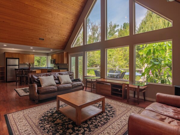 TV, fireplace, books