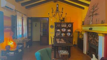 TV connectée, cheminée, lecteur de DVD, livres