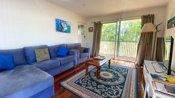 TV, DVD player, video library