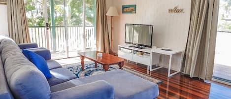 TV, DVD player, video library