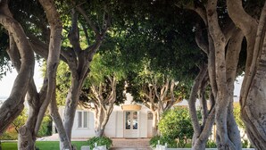 A pathway leading to a building with a white facade and a door, surrounded by trees. - Exclusive villa with pool, external kithchen, in Marsala, Sicily (Marsala)