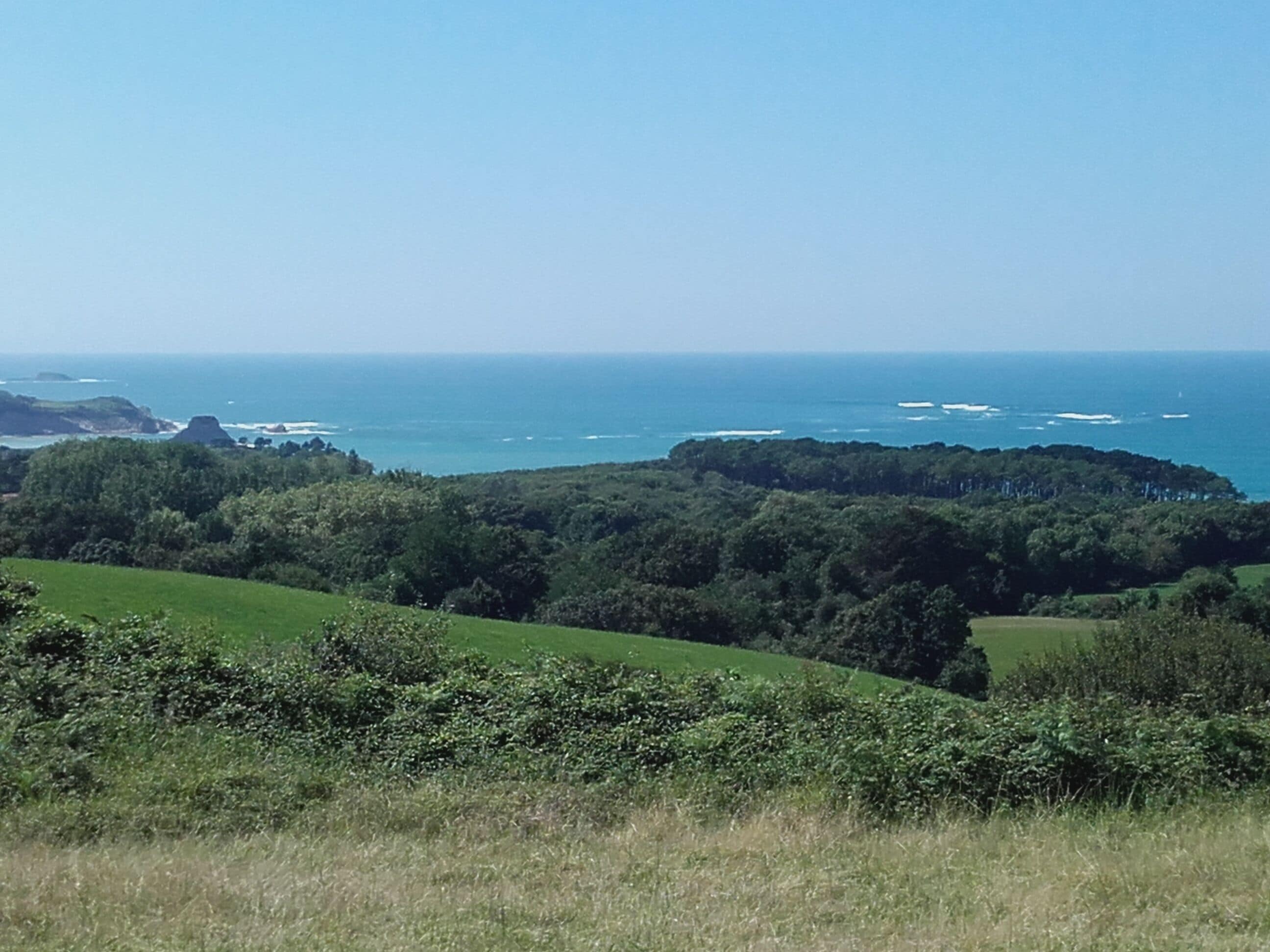 Een kustlandschap met weelderige begroeiing en een helder uitzicht op de zee.