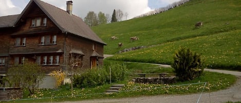 Extérieur