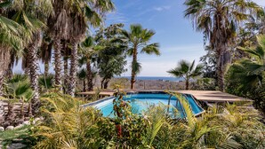 A pool surrounded by palm trees and a view of the ocean.