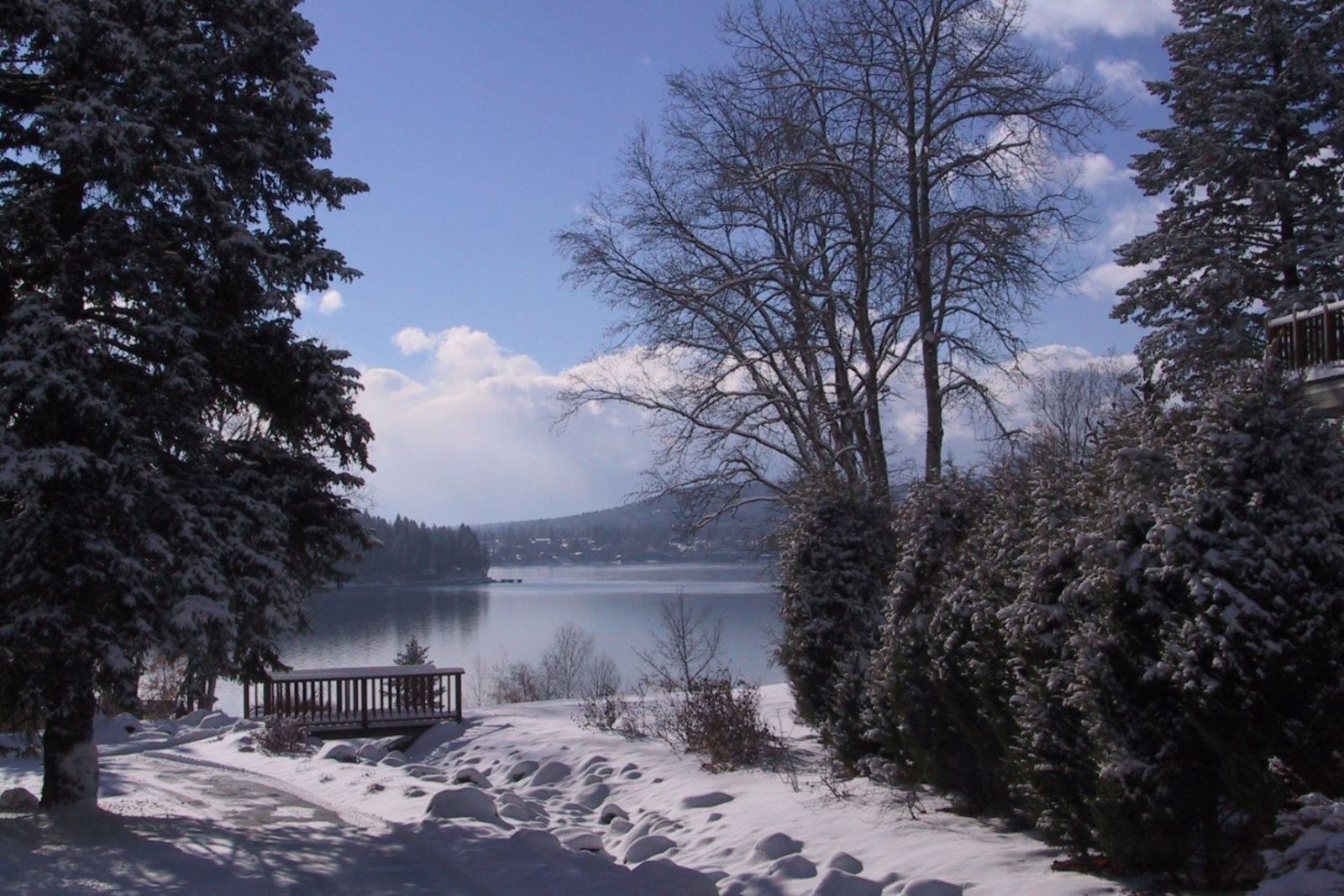 Paisatge nevat amb un llac, arbres i una banca de fusta.