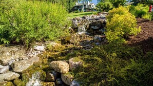 Een natuurlandschap met een kleine waterval, rotsen en weelderige begroeiing.