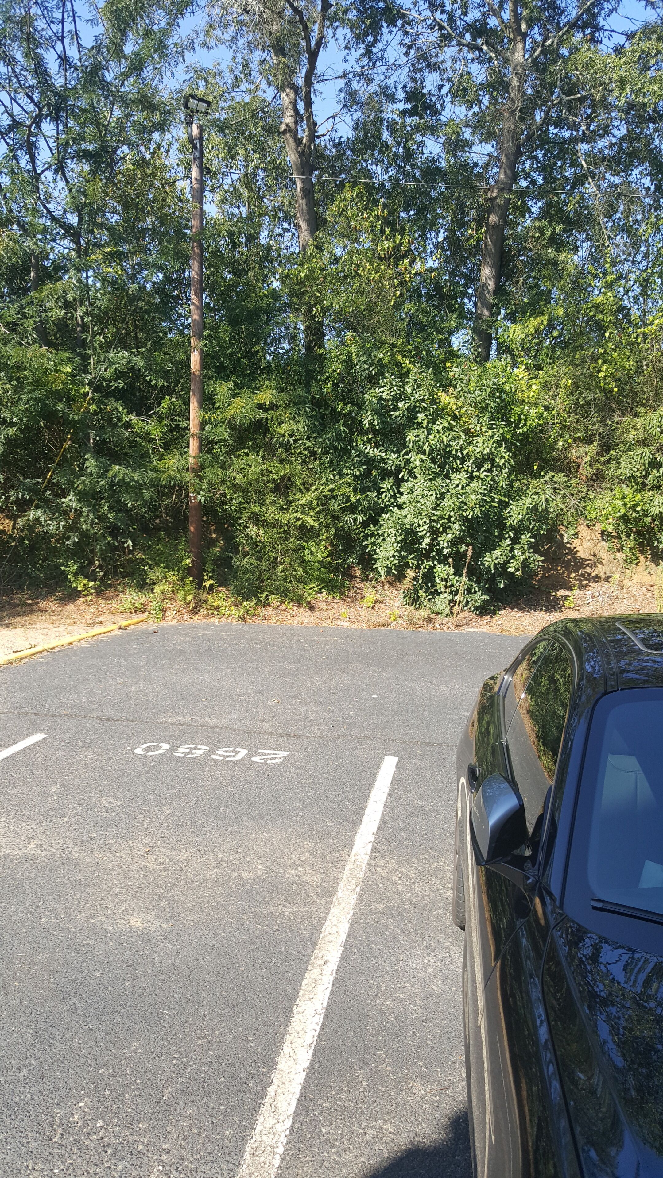 Last Minute Listing- ADJACENT TO MASTERS - 2 bedroom - 1 1/2 bath