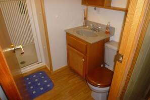 Shower, towels, toilet paper