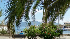 Un banco bajo palmeras a la orilla del agua, con barcos y una montaña al fondo.
