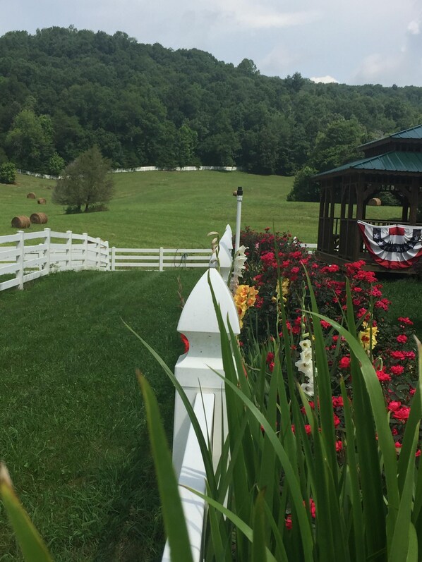 Property grounds - CHARMING COUNTRY GETAWAY! (Sparta)