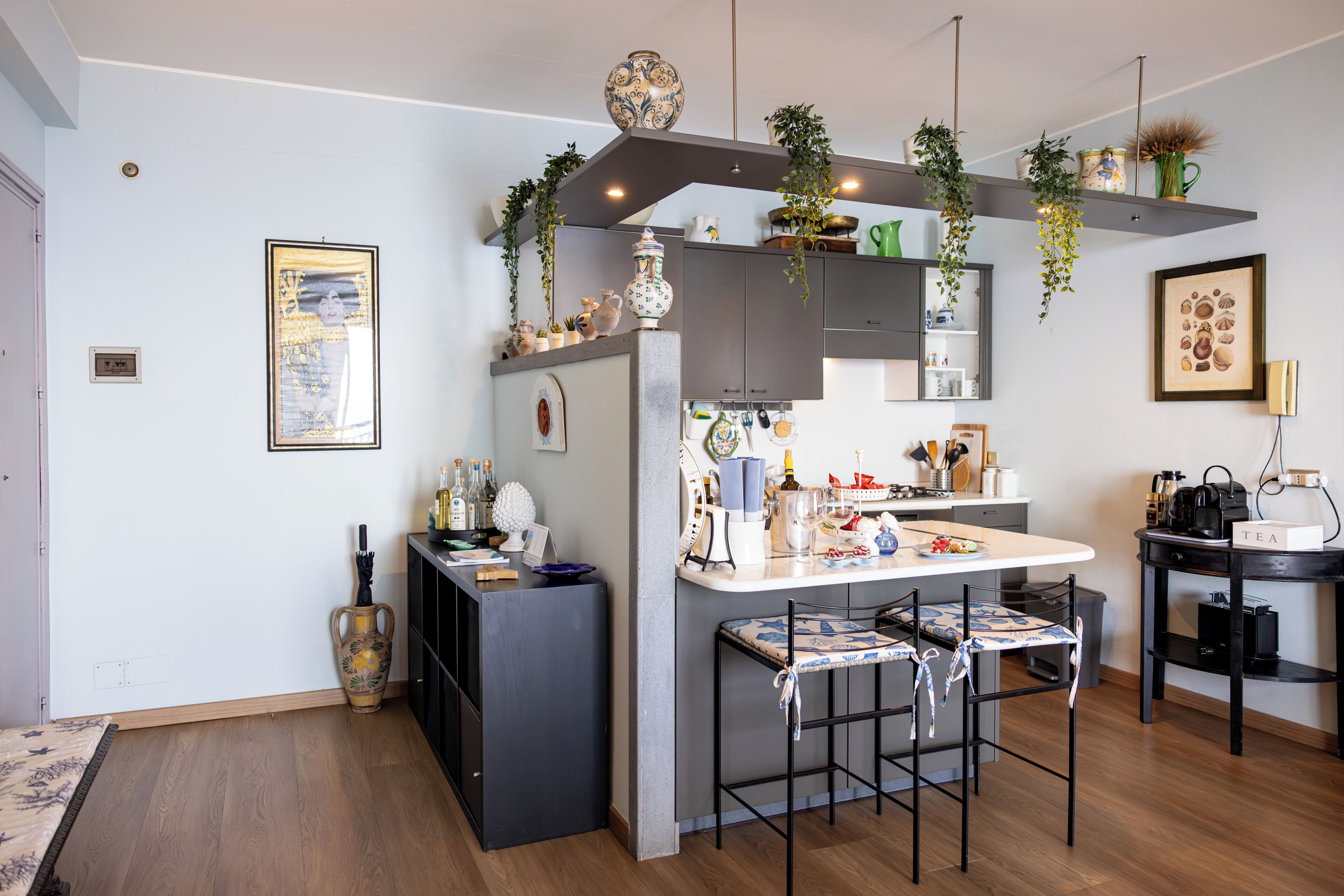 A modern kitchen with a bar area, wooden flooring, and hanging plants.