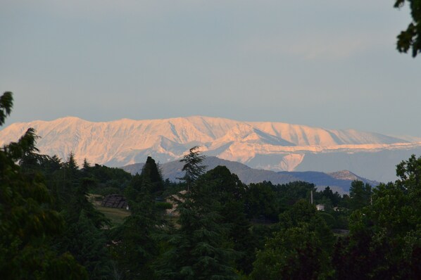 A mountain landscape with snow-capped peaks and dense forest in the foreground.