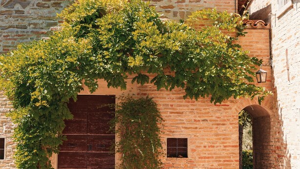 Un bâtiment en pierre surmonté d’une croix, avec une porte en bois et un banc devant.