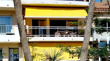 Detalle del exterior