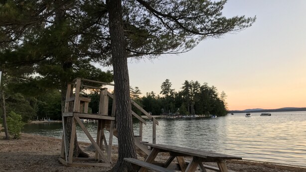 Una mesa de picnic de madera y un árbol junto a un lago tranquilo con barcos a lo lejos.