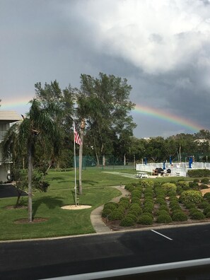 Sport court - Paradise!  Gulf beach, On bay, bike, fish, kayak, relax, shop, swim, tennis..... (Longboat Key)