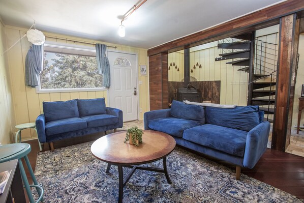 Smart TV, chimenea, reproductor de DVD y libros 