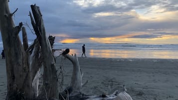 海滩