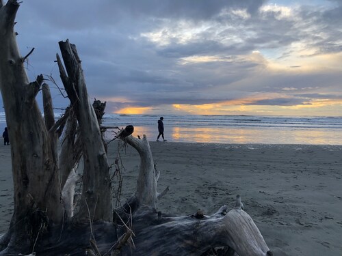 Acogedora casa de campo para 8 - A pie de playa, familia y mascotas. Clammers bienvenidos!