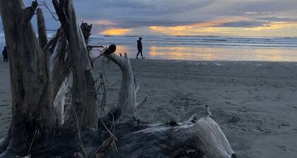 Beachy Cottage for 8 - Walk to beach, family & dog friendly!