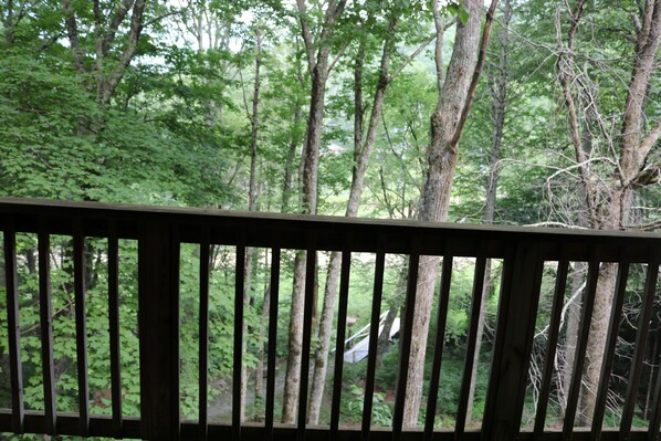 Property grounds - 'Ski Shack' Condo w/ Private Deck (Sugar Mountain)