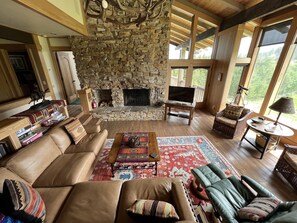 Smart TV, fireplace, DVD player, books