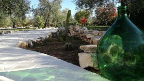 A garden with a cactus, rocks, and a green bottle. - 
Villa Méditerranée with parking space (TRANI)