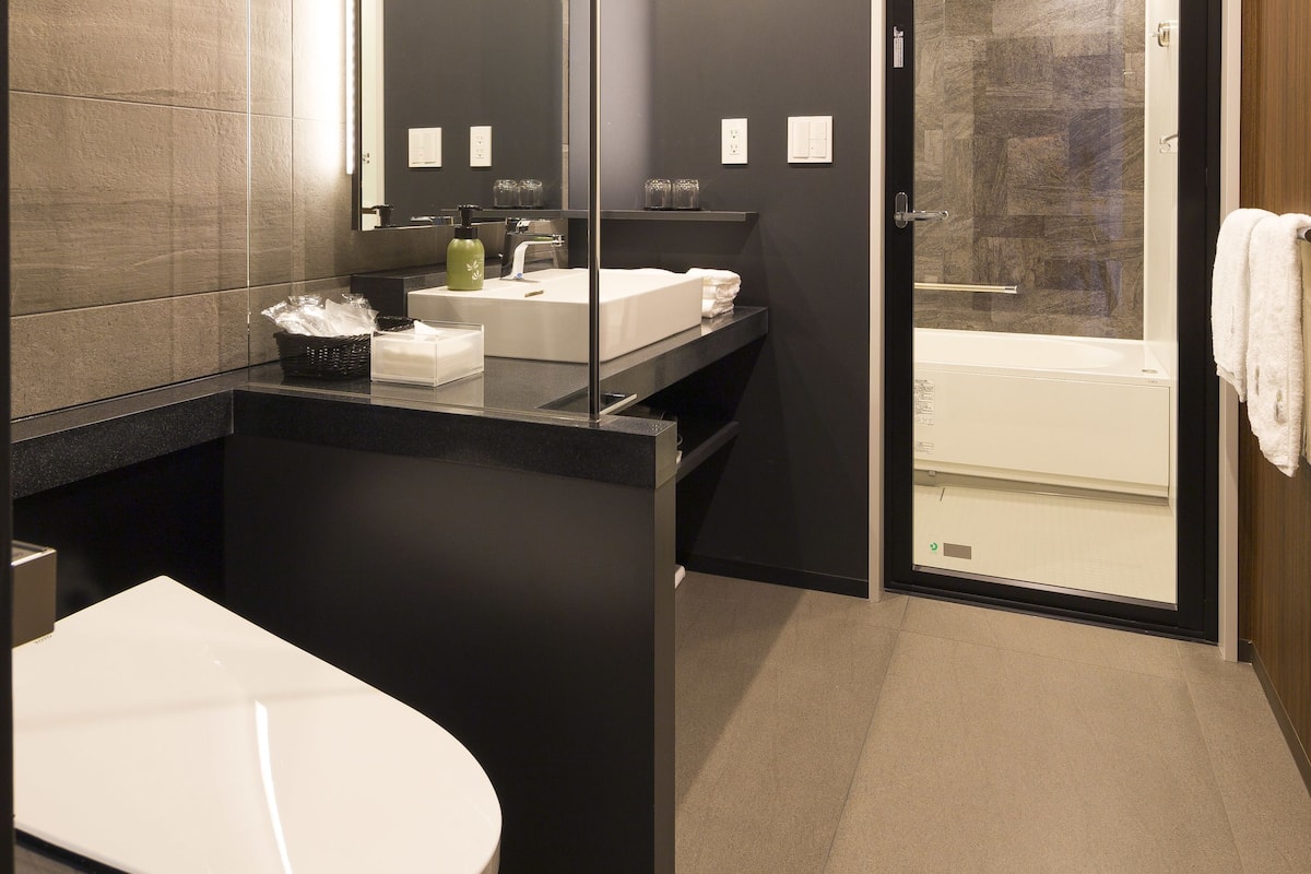 free toiletries, hair dryer, slippers, electronic bidet