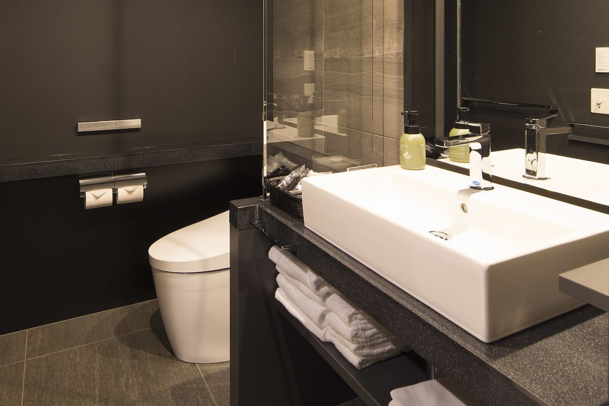 free toiletries, hair dryer, slippers, electronic bidet