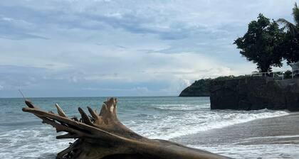 Mountain cabin- Altos de El valle