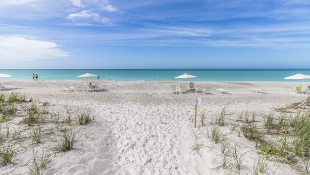 A beach with white umbrellas and lounge chairs, a clear sky, and the ocean in the background.