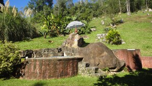Una estructura de piedra con techo metálico y un letrero, rodeada de abundante vegetación y árboles.
