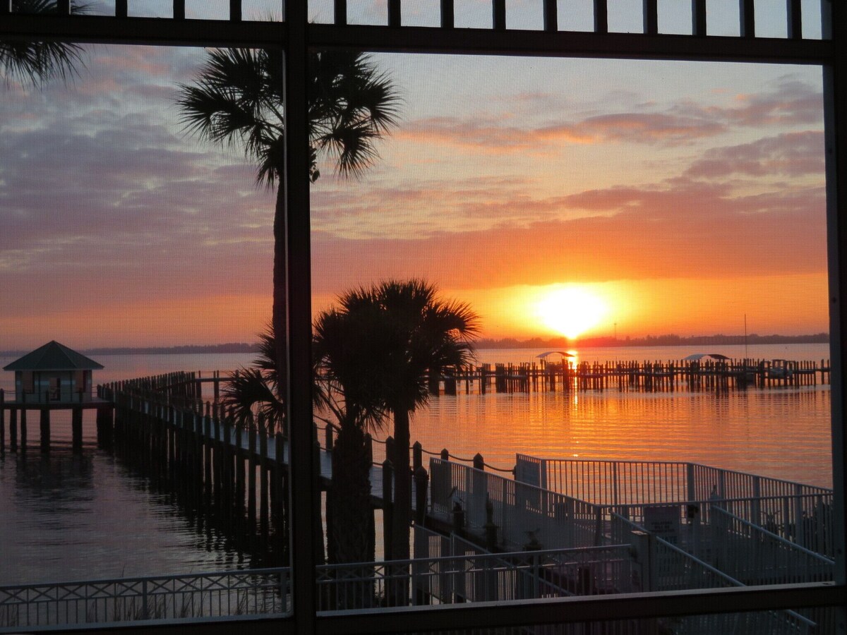 Imagen de perfil del propietario o de la propietaria