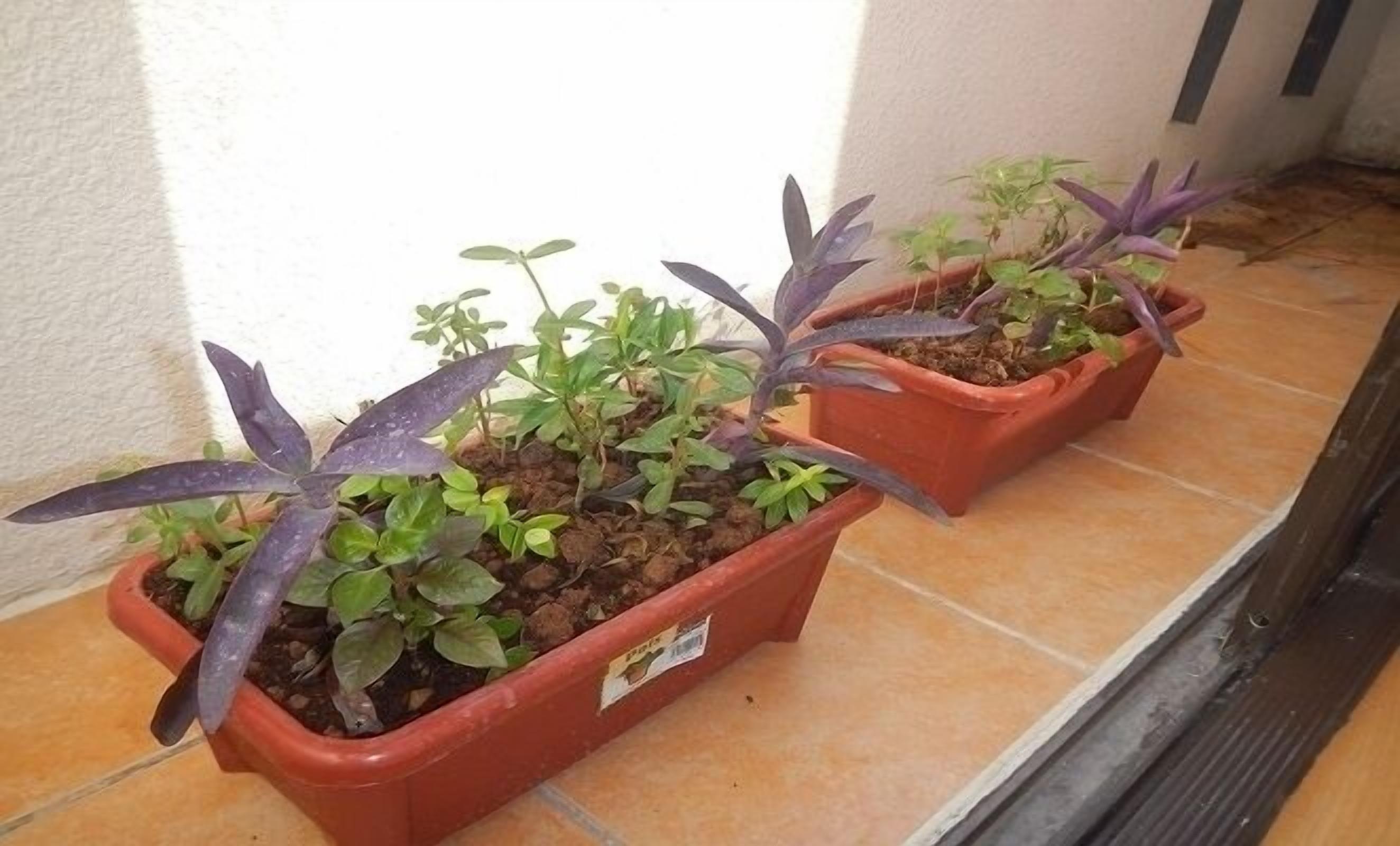 ［エコランド］アパートメント（28m²）｜ 1ベッドルーム／1バスルーム Expedia提供写真