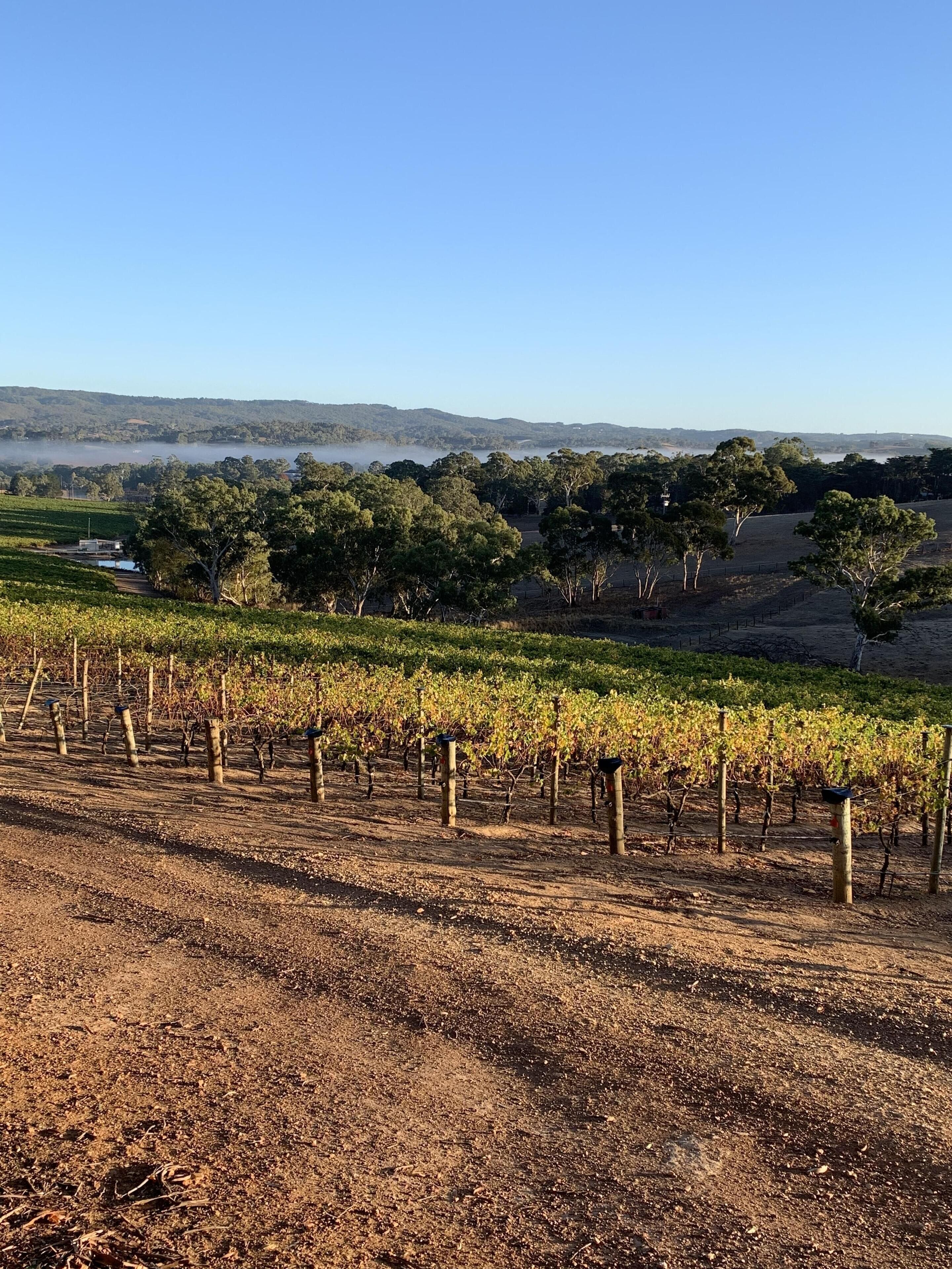 Winemaker's Hut - the idyllic weekend break away — image 3