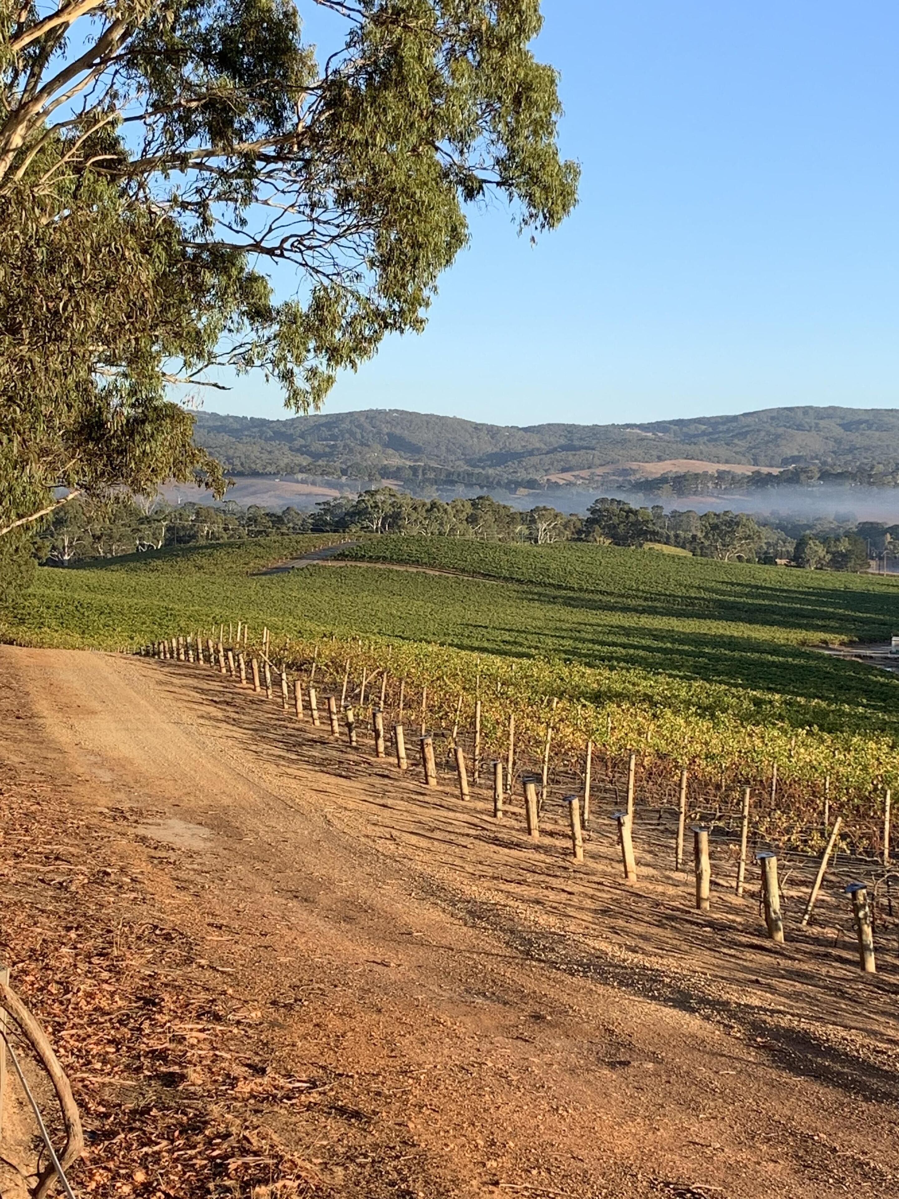 Winemaker's Hut - the idyllic weekend break away — image 14