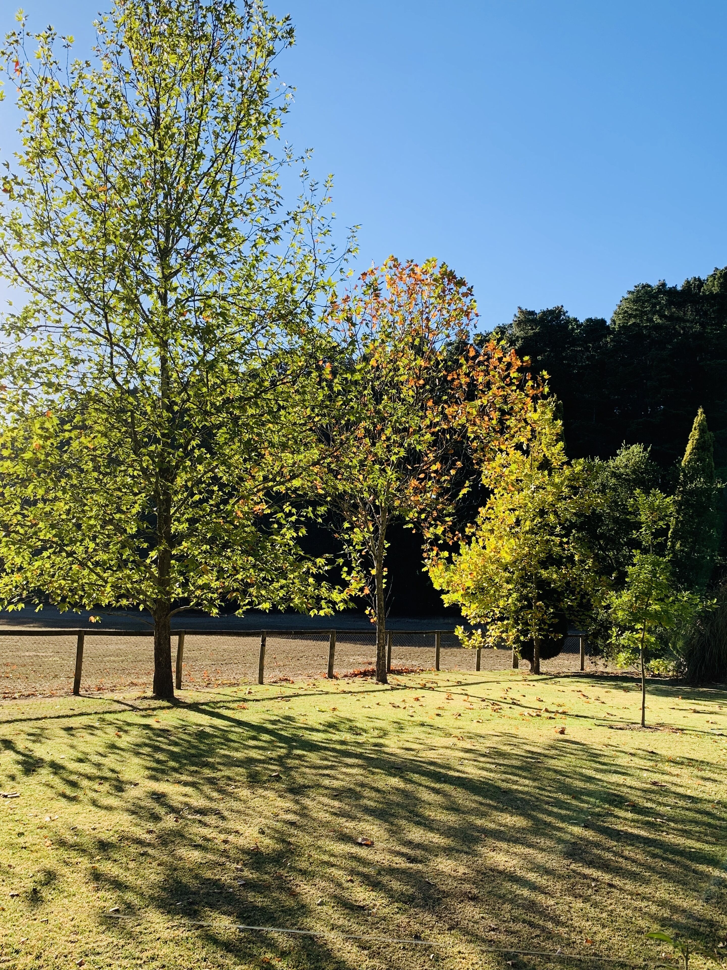 Winemaker's Hut - the idyllic weekend break away — image 13