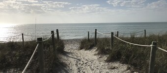 Aah !!! Poppy's Paradise